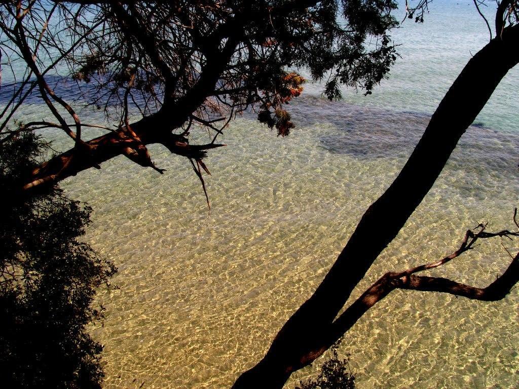 Doridas Hotel Κουσάντασι Εξωτερικό φωτογραφία