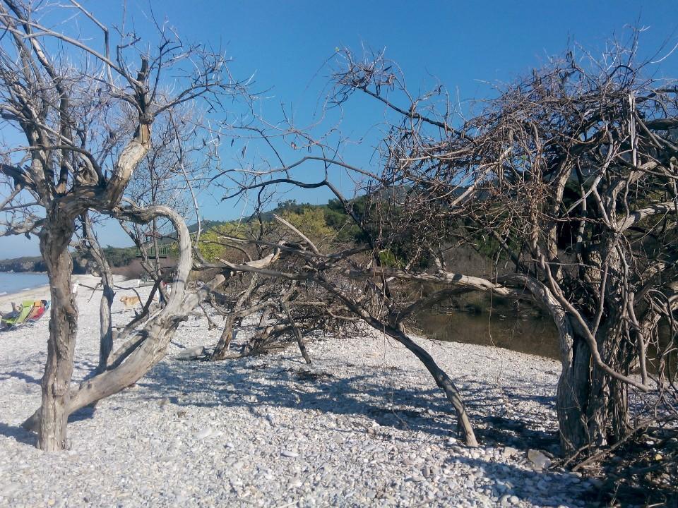 Doridas Hotel Κουσάντασι Εξωτερικό φωτογραφία